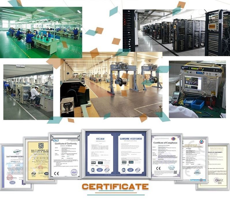 Production line and company certificate
